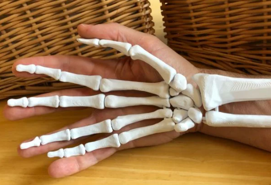 Ideas de impresiones del cuerpo humano 3D