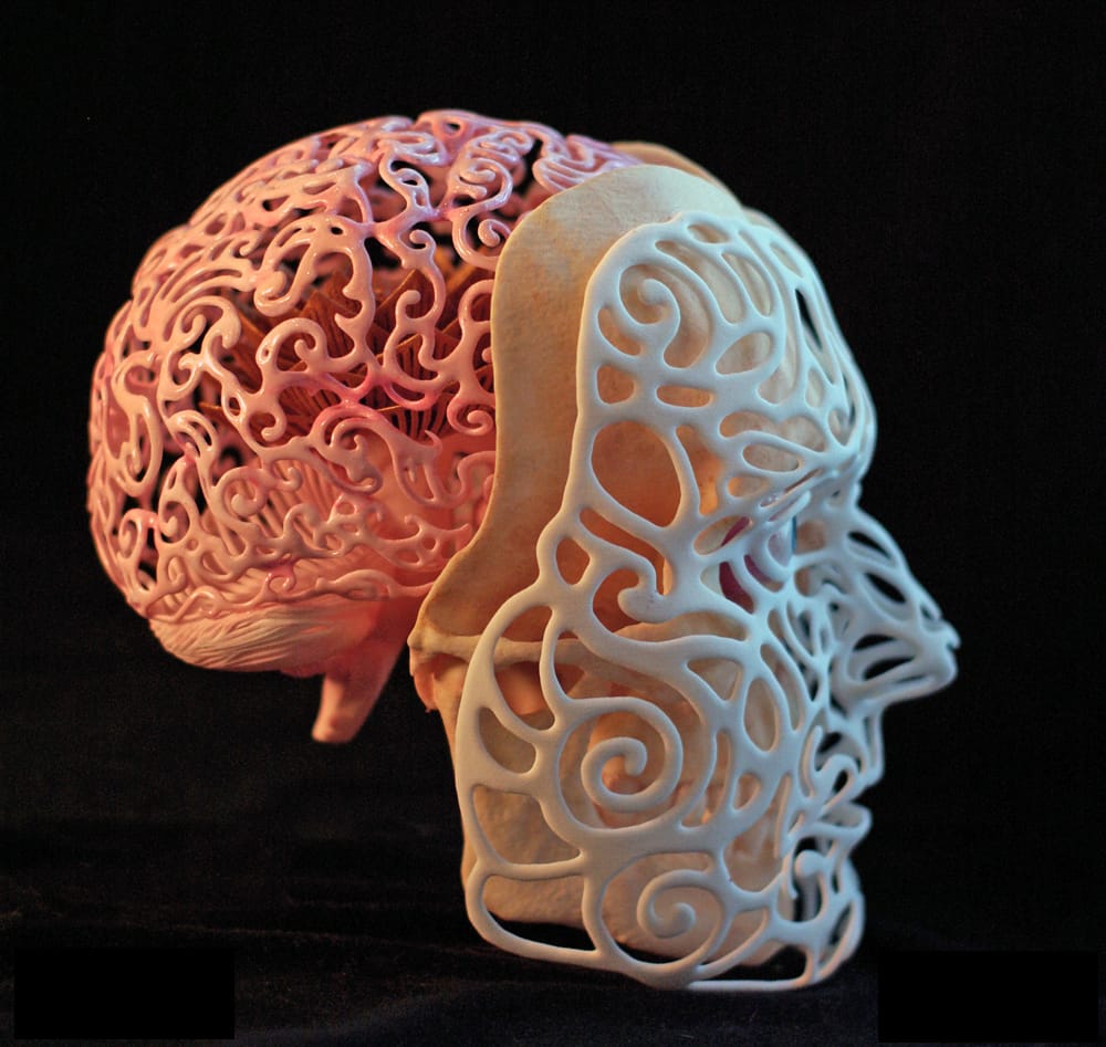 Joshua Harker anatomical 3D self-portrait