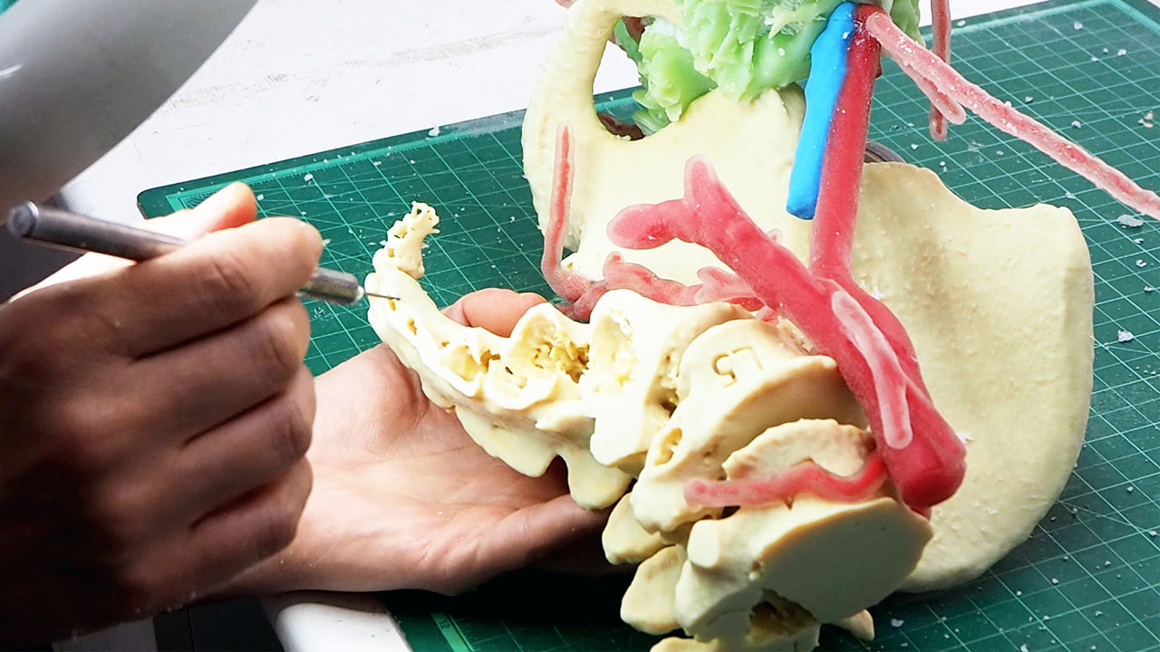 Revolucionando la salud: Usos de la impresión 3D en medicina