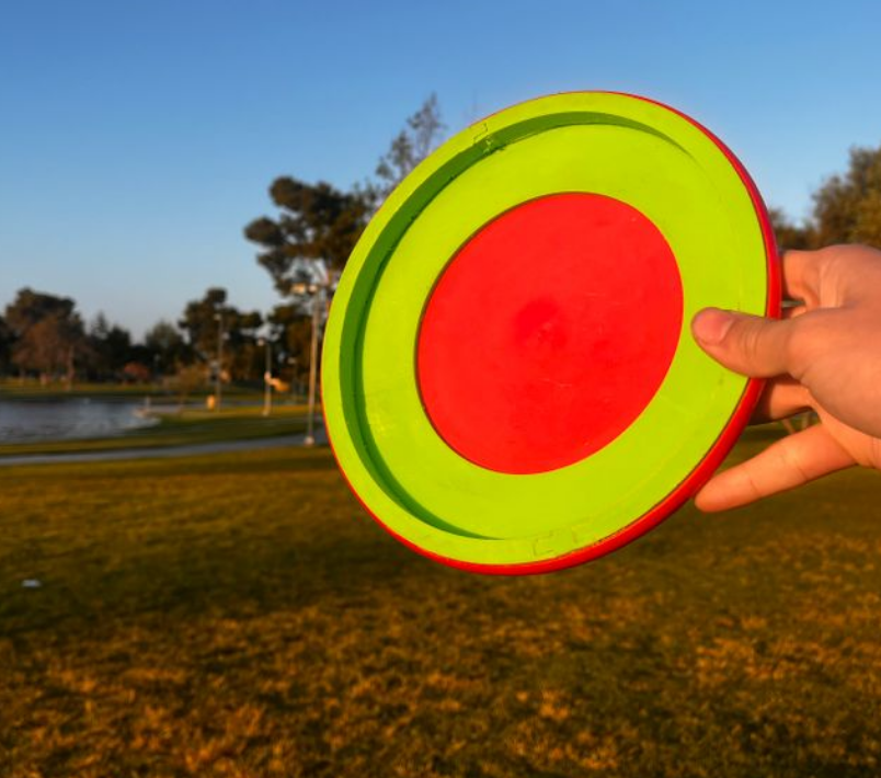 Frisbees para perros