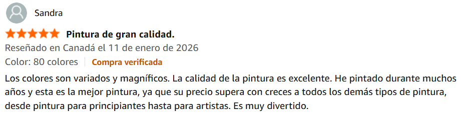 Shuttle Art pintura. comentario