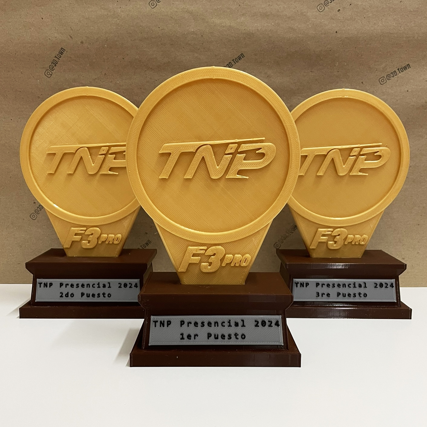 Proyecto de Marca - Trofeo TNP