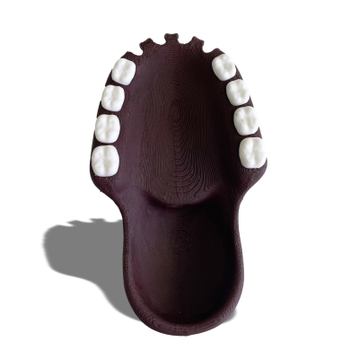 Maqueta dientes obra